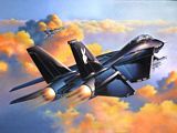 Revell 04514 F-14A Black Tomcat.