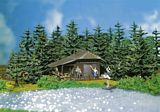 Faller 130299 Log cabin