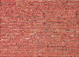 Faller 170624 Wall Card Tunnel