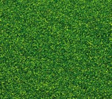 Faller 170702 Scatter material 30 g spring green
