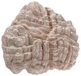 Faller 171806 Rock blank Dolomite