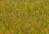 Faller 180484 Premium ground cover fibres 30 g Meadow long