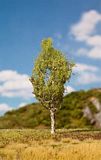 Faller 181205 Birch