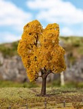 Faller 181207 1 PREMIUM Norway maple, Autumn foliage