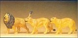 Preiser 20379 Lions